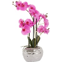 Leonique Kunstpflanze »Orchidee«, Kunstpflanzen, 96505433-0 lila/silberfarben B/H: 20 cm x 55 cm