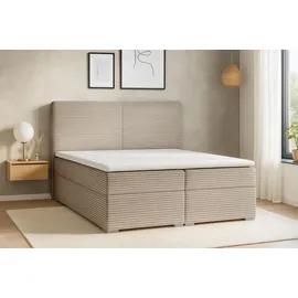 dein schlaf 24 BOXBETT LOFT III 200/200 Cord Beige mitTaschen-Federkernmatratzen 7 Zonen H4 - Beige