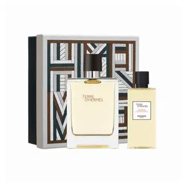 Hermès Terre d'Hermès Eau de Toilette 100 ml + Shower Gel 80 ml Geschenkset 4