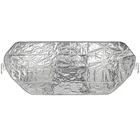 PRO PLUS ProPlus 630319 Front Scheibenabdeckung Frostschutz Windschutzscheibenabdeckungsonnenschutz 100 x 250 cm,