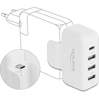 Delock USB Power Supply Netzteil & Spannungsumwandler Weiß