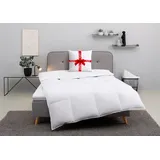 MY HOME Daunenbettdecke MY HOME "Cavanelle, Bettdecke in 135x200 cm & 155x220 cm", weiß, B:155cm L:220cm, Bezug: 100% Baumwolle. Füllung: 80% Daunen, 20% Federn, Bettdecken, Bettdecken, Sommer, Winter, Decke, Made in Germany, Downpass