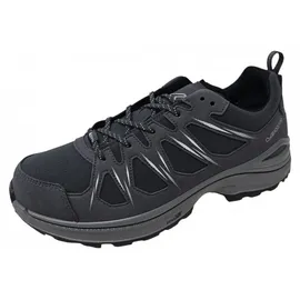 Lowa Innox EVO II GTX grau/grau 42,5