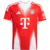 adidas FC Bayern München Heimtrikot 2025/26 Kinder rot Gr. 140