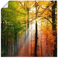Artland Wandbild »Schöner Herbsttag 2«, Wald, (1 St.), als