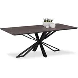 Homestyle4u Esstisch Braun, Metall, Rechteckig,Rechteckig, 100x76x200 cm, Esszimmer, Tische, Esstische