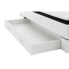 Pol-Power Pol Power Lena