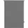 Buchheister Seitenzugrollo Thermo Win Rollo 100 x 160 cm grau