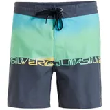QUIKSILVER - Everyday Half Jam Badeshorts Herren summer green wordblock - grün