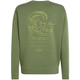O'Neill Sweatshirt Avery Fern S
