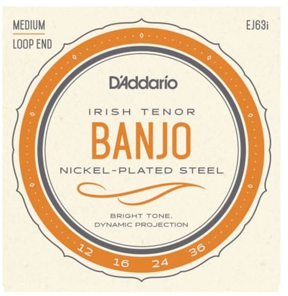 D'Addario EJ63i Irish Tenor Banjo