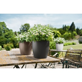 LECHUZA Classico Color 28 Komplettset Ø 28 x 26 cm schiefergrau