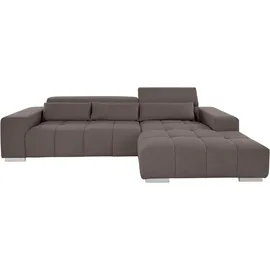 Cotta Ecksofa COTTA "Orion L-Form", schwarz (charcoal), B:307cm H:73cm T:186cm, 100% Polyester, Sofas, Ecksofa, mit 2x Kopfteilverstellung & 3 Nierenkissen