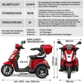 Rolektro E-Trike 25 V.2 1000 Watt 25 km/h rot