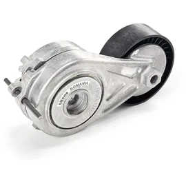 SKF VKM 31310