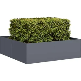 vidaXL Pflanzkübel 100 x 100 x 30 cm Anthrazit
