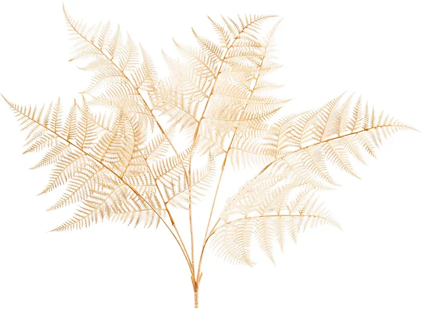 Farn Busch x6 71cm creme