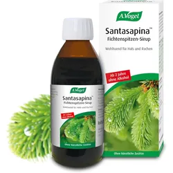 A VOGEL SANTASAP O A ROTTA