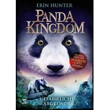 SchneiderBuch Gefährliche Abgründe / Panda Kingdom Bd.2