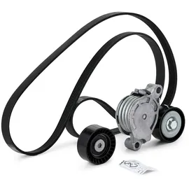 SKF Keilrippenriemensatz