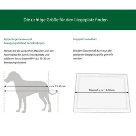 Silvio Design Ruhekorp mit Kissen 70 cm oval braun