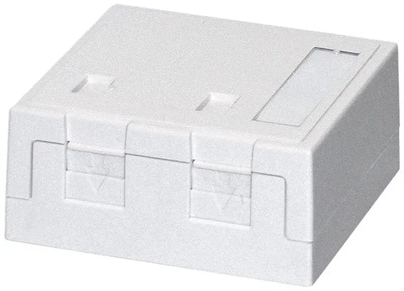 Dätwyler IT Infra Aufputzdose rw 2xKeystone 418037