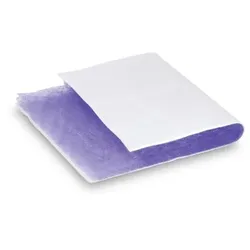Filtermatte mit Mikroben, 1-lagig für PC 100, Teile-Nr. 6.626-041.0