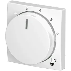 Busch-Jaeger Zentralscheibe Temperatur rund 1794 R-914