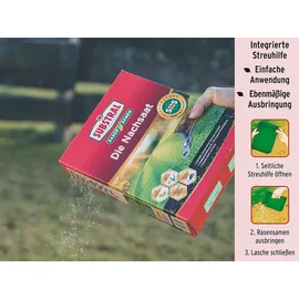 Substral Rasensamen Die Nachsaat 2 kg, für 100 m2