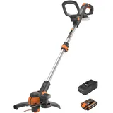 Worx WG163E.2 inkl. 1 x 2,0 Ah