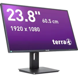 WORTMANN TERRA 2456W PV V4 24"