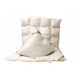 Betten Hofmann Set leichte Ganzjahresdecke Daunendecke 4x6 155x220 + Kissen 80x80 - Weiß