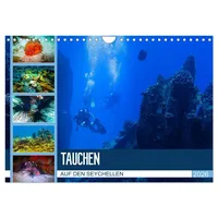 Calvendo Tauchen auf den Sychellen (Wandkalender 2026 DIN A4