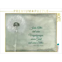 Calvendo Jedes Alter hat seine Reize 1000 Teile Puzzle