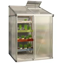 Gfp Eden Anlehngewächshaus Aluminium Natur Transparent SDP 10 mm 2,22 m2