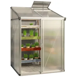 Gfp Eden Anlehngewächshaus Aluminium Natur Transparent SDP 10 mm 2,22 m2
