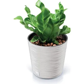 Prosperplast FURU ROUND Ø 30 x 29,4 cm Weiß