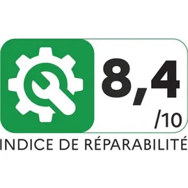 Rowenta Extenso Dry AC4769