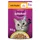 Whiskas Nassfutter in Gelee für ausgewachsene Katzen 28 x 85 g