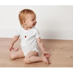 Tchibo - 4 Baby-Bodys - Baby - Gr. 62/68 - weiß