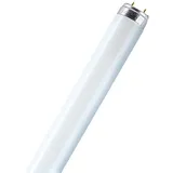 Osram Lumilux T8 L 36W/865 G13