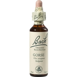 Bach-Blüte Gorse 20 ML