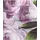 GRUND Peonia Bettwäsche rosa 155 x 220 cm + 80 x 80 cm