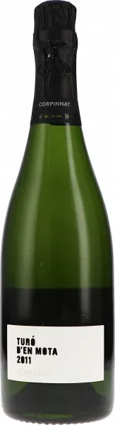 Turo d ́en Mota Brut Nature Recaredo 2011 BIO