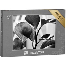 puzzleYOU Puzzle Pflanzenfotografie: Detailaufnahme in Schwarz-Weiß, 48 Puzzleteile, puzzleYOU-Kollektionen Fotokunst