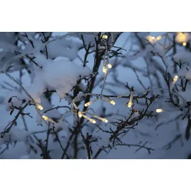 Best Season LED-Lichterkette,160tlg. Farbe warm white, outdoor, m.Trafo, Kabel:transp., 499-36