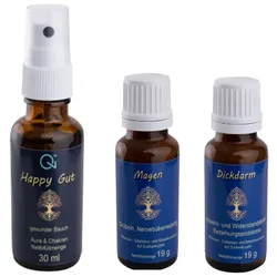 Qi - Health Magen & Darmgesundheit Kombipackung 67 g