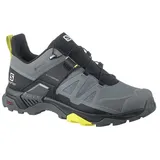 Salomon X Ultra 4 Gore-Tex Herren quiet shade/black/evening primrose 44 2/3