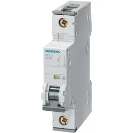 Siemens 5SY7106-7