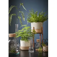 Mica decorations Vorratstopf Emily transparent 24,5 x 22,5 cm